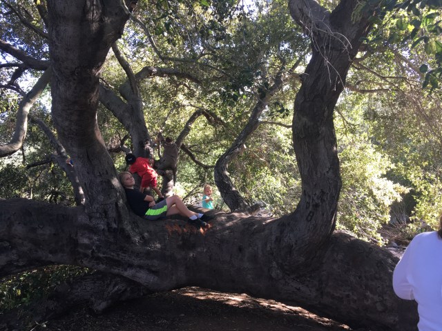 2017-03-25 16.48.51-1