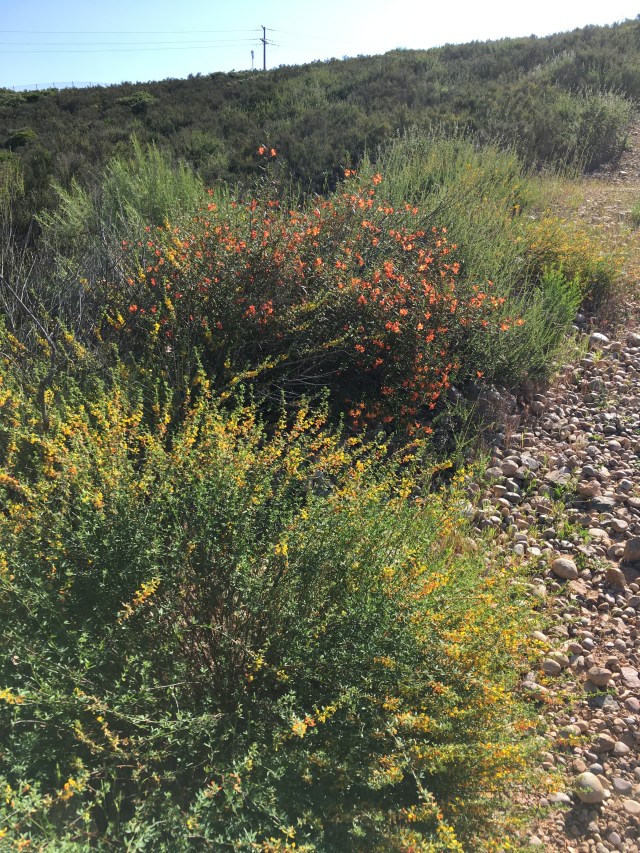 2017-04-04 09.18.07-1